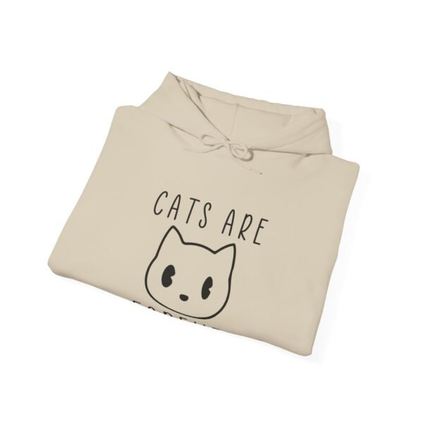 Cats Are Forever Hooded Sweatshirt - Image 32