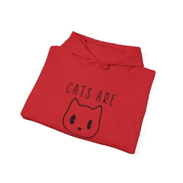 Cats Are Forever Hooded Sweatshirt - Image 16