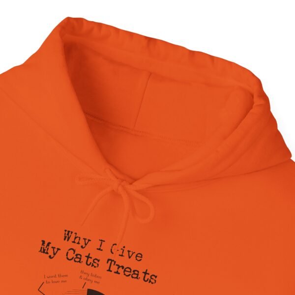 Why I Give My Cats Treats Hooded Sweatshirt - Image 40