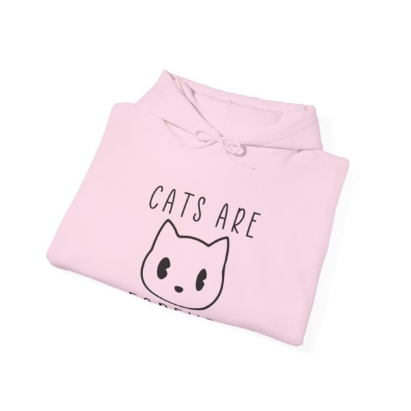 Cats Are Forever Hooded Sweatshirt - Image 24