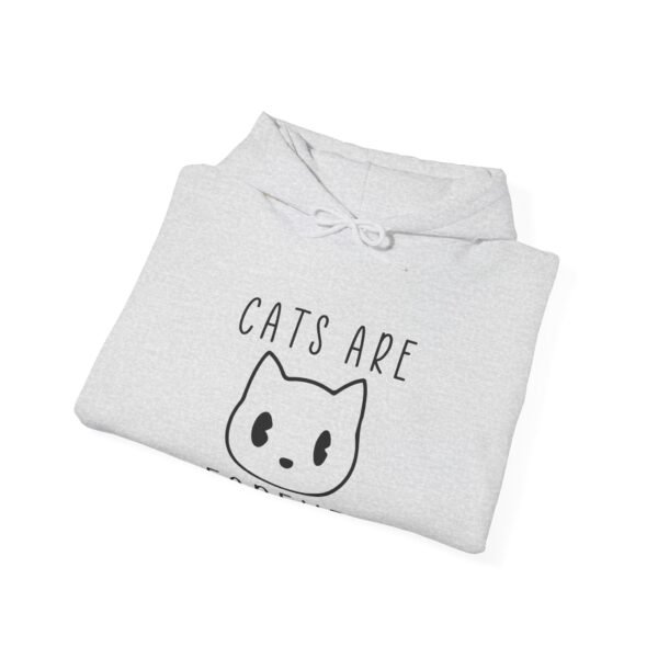 Cats Are Forever Hooded Sweatshirt - Image 4